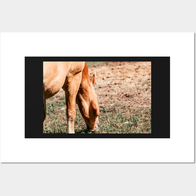 Haflinger on a pasture in summer Wall Art by M-Hutterer